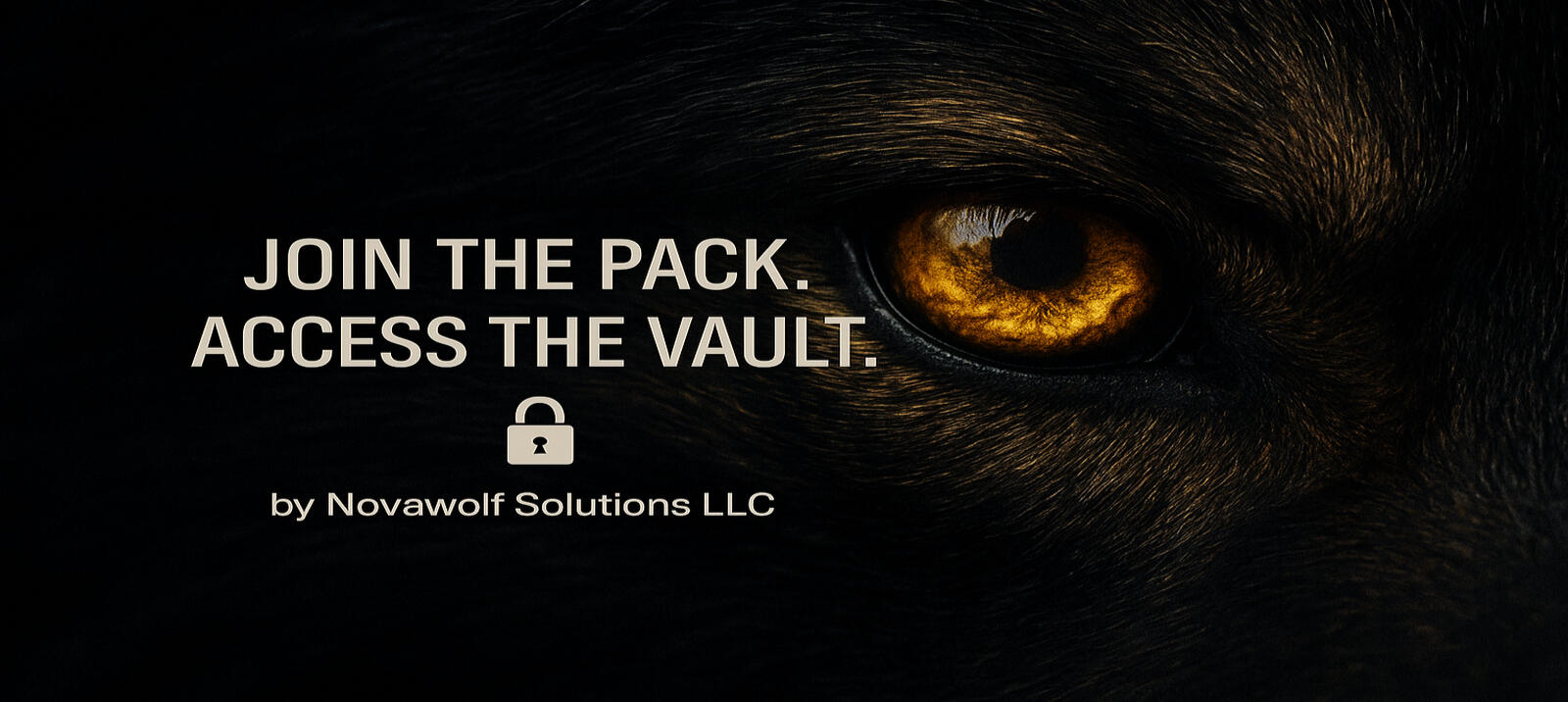 Explore tools built for: • Coaches • Course Creators • Service Providers • Local Biz Owners AI-powered. Plug & play. Conversion-focused.